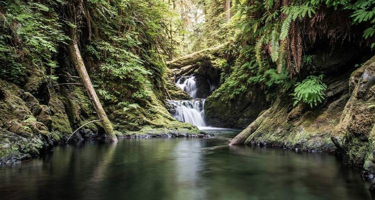 Pacific North West Adventure - Seattle to Portland - Intrepid Travel 6