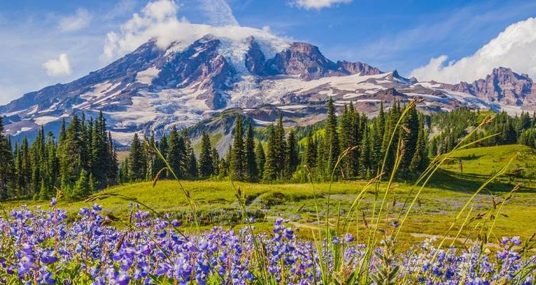 Pacific North West Adventure - Seattle to Portland - Intrepid Travel 4