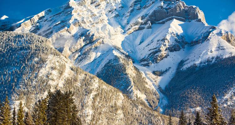 Répétition d'une image d'une face de montagne spectaculaire couverte de neige encadrée par des sapins.