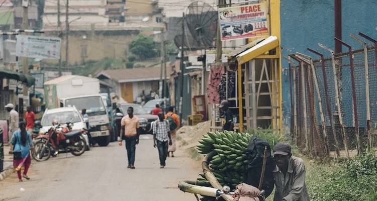Gorilles et Treks dans les monts Rwenzori en Ouganda - Yellowwood Adventures Ltd 3