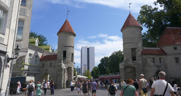 17 JOURS D'AUTOTOUR DANS LES PAYS BALTES - Baltic Nature Travel 2