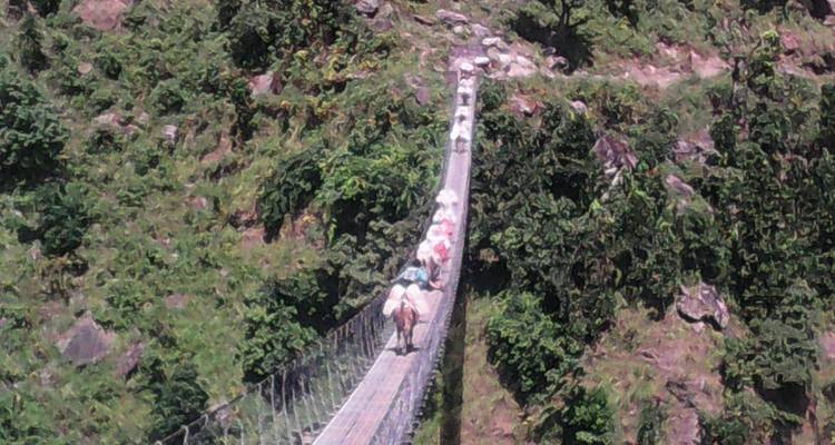 Manaslu Larke paso Trek vía Manaslu campamento base servicio de guía 17 días - Nepal Holiday Treks And Tours 2