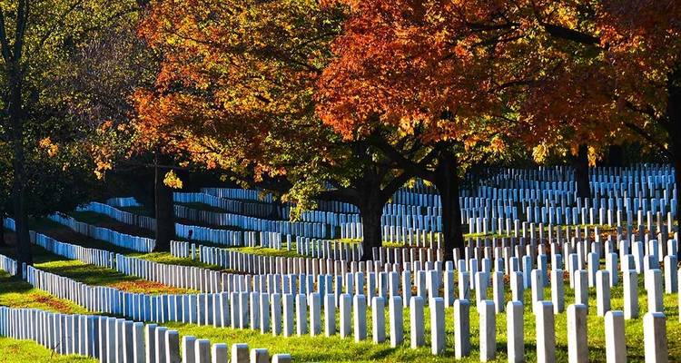 Descubrimiento de Washington a Nueva York - Intrepid Travel 2
