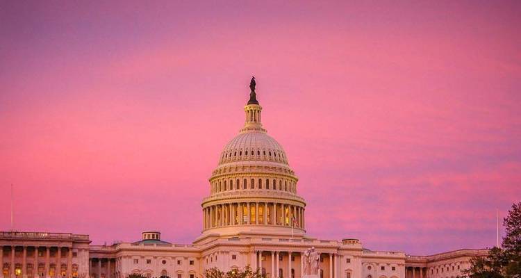 Descubrimiento de Washington a Nueva York - Intrepid Travel 1
