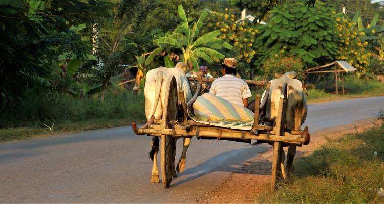 Private Tour & Bathing - Cambodia (incl. flight) - Bavaria Fernreisen 6