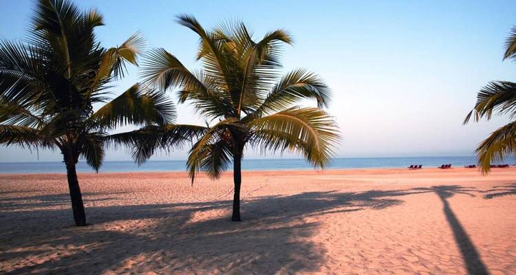 Go Go Goa - Mangez, dormez, détendez- vous et répétez ! - Un voyage à petit prix - MTA Destination Management Company 4