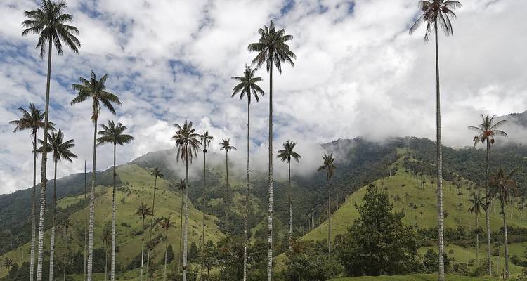Colombie - Points forts - Paradise Reise Service 4