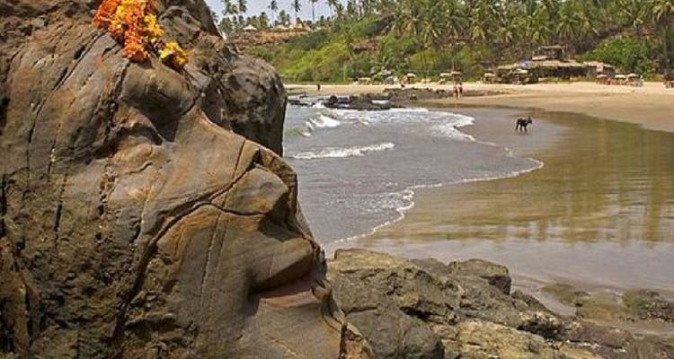 Soulful Goa - "Let's Goa" - un circuit économique - MTA Destination Management Company 7