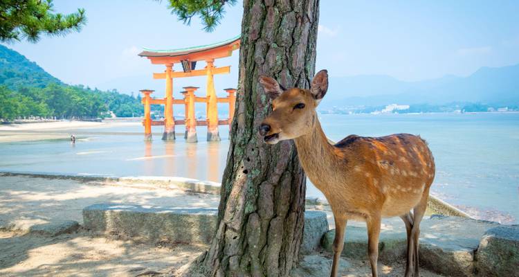 Le Japon en train : le grand tour - Culture Trip 9