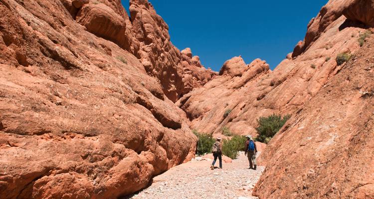 Epic Morocco 2025 - Culture Trip 2