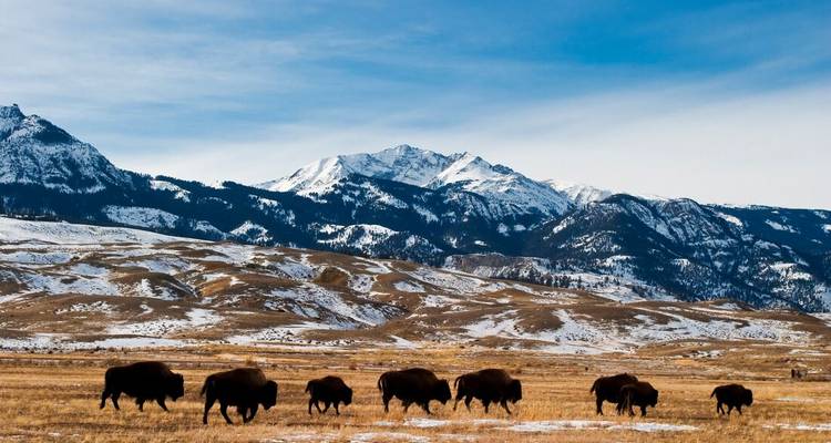 Exploration du Dakota du Sud vers les parcs de Yellowstone - Intrepid Travel 9