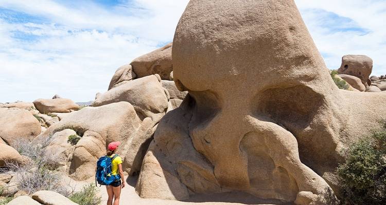 Randonnée à Joshua Tree et dans la vallée de la mort - Intrepid Travel 4