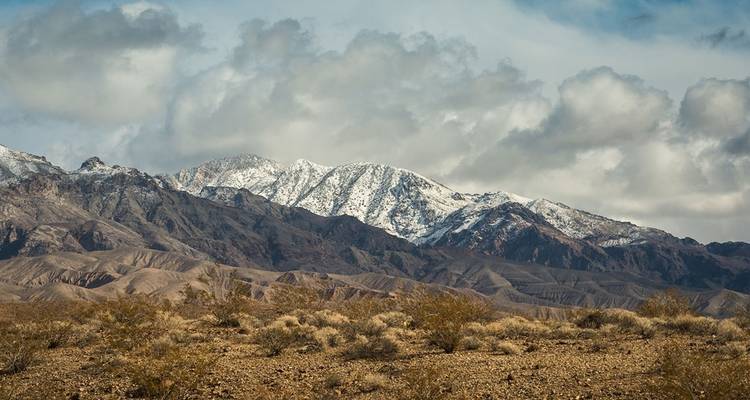 Randonnée à Joshua Tree et dans la vallée de la mort - Intrepid Travel 6