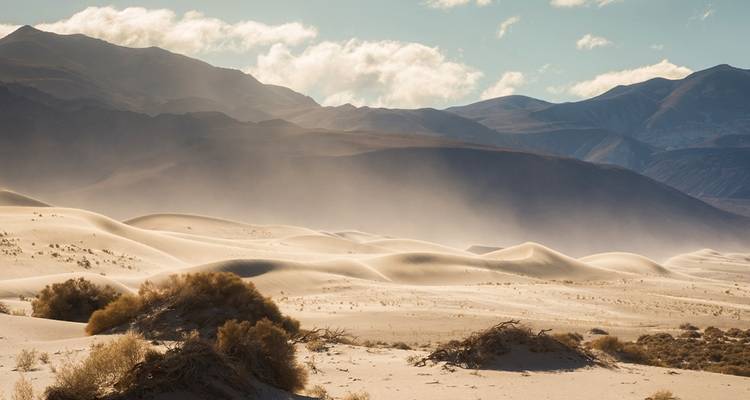 Randonnée à Joshua Tree et dans la vallée de la mort - Intrepid Travel 2