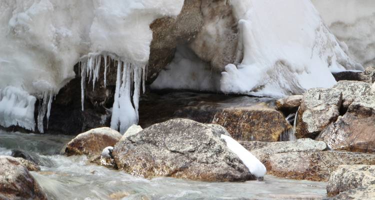 SWISS CHOCOLATE, WATERFALL AND GLACIERS - EUROLATINO Tour Operators 4
