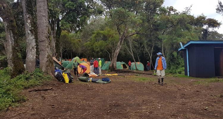 Kampopstelling in een bos met tenten en mensen.