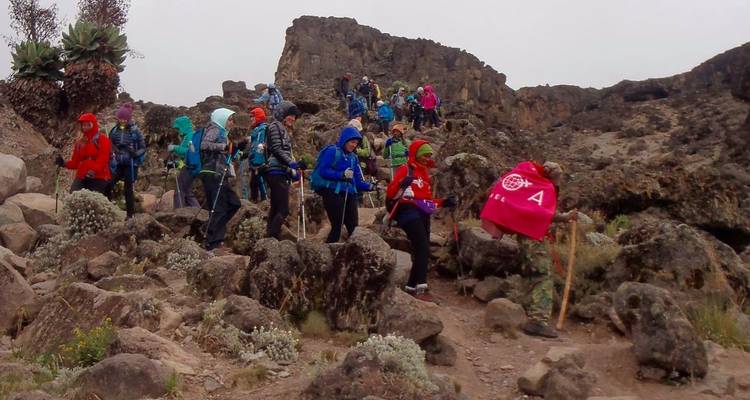 L'ascension du Kilimandjaro à la veille du Nouvel An - Great Lake Expedition 1