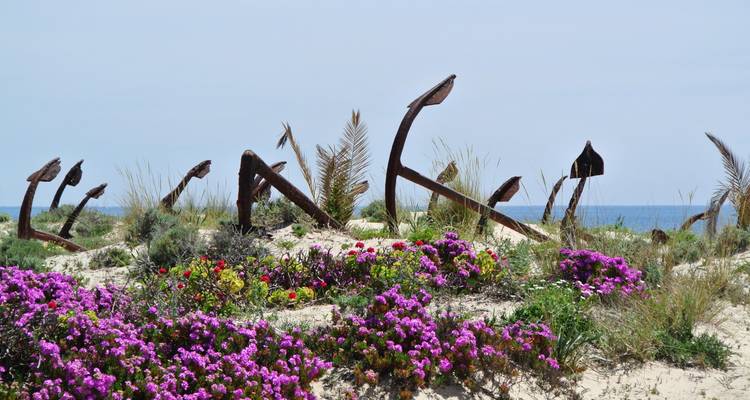 Walking Holidays In Tavira, The Venice Of Algarve - Be Cool 2
