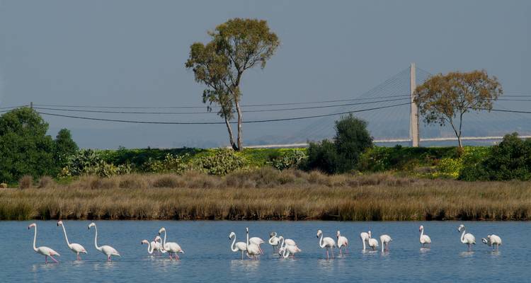 Walking Holidays In Tavira, The Venice Of Algarve - Be Cool 3