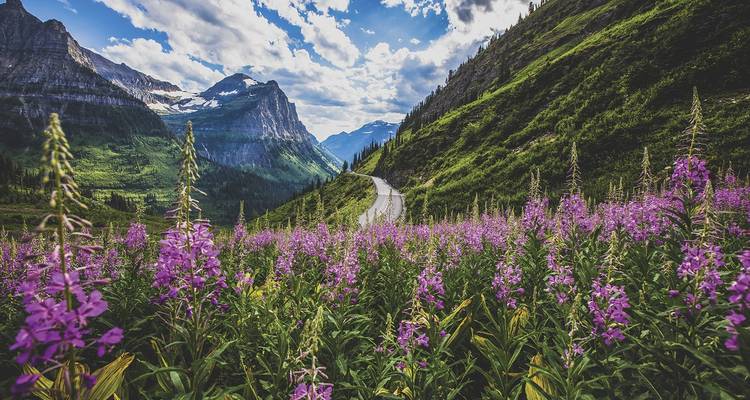 Aventure dans le parc national des Glaciers - Active Adventures 7