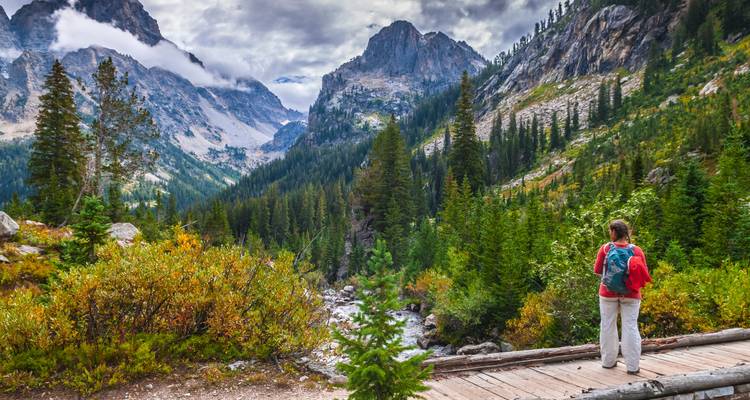A scenic vista of a hiker standing on a wooden bridge overlooking a lush valley with a river and mountains.
