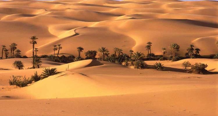 Circuito de 4 días por el Desierto y el Sáhara Tuareg desde Marrakech - Morocco Trip Travel 8