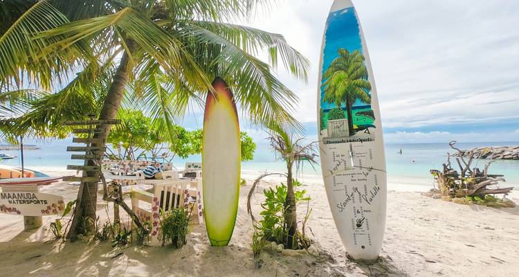 Área de playa con tablas de surf y palmeras bajo un cielo brillante.