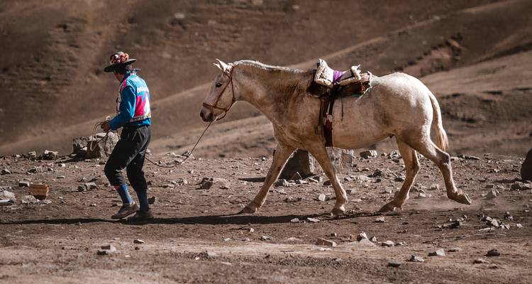 Person walking a horse in a barren landscape.
