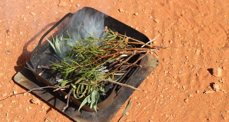 Uluru & Kings Canyon Family Adventure (4 Days) - Intrepid Travel 2