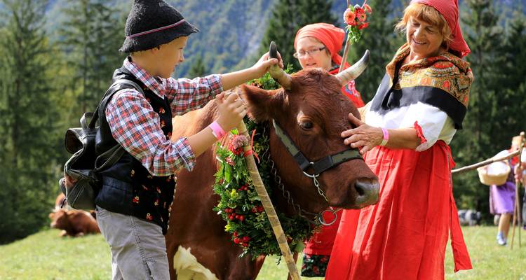 Hiking in Slovenia's Julian Alps - Yellowwood Adventures Ltd 9