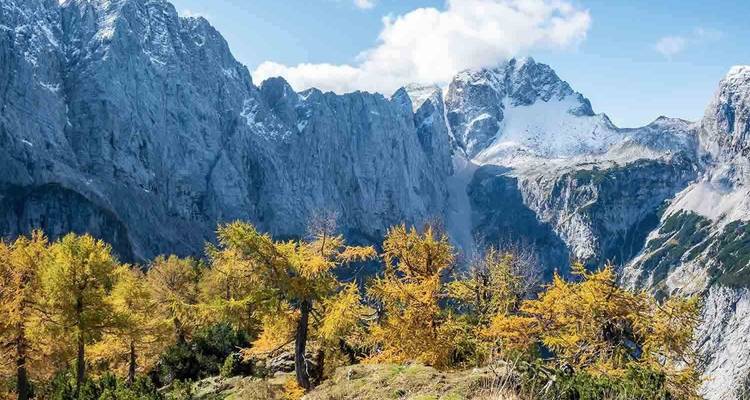 Paysage de montagne avec des sommets enneigés et des arbres jaunes.