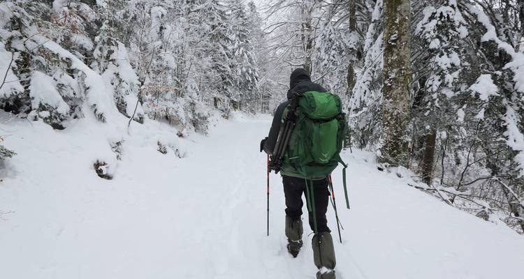 Raquettes à neige et Treks hivernales dans les Alpes juliennes - Yellowwood Adventures Ltd 4