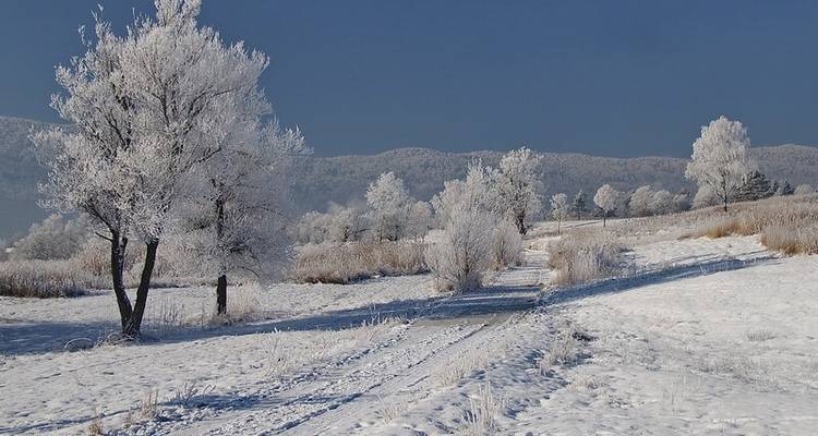 Raquettes à neige et Treks hivernales dans les Alpes juliennes - Yellowwood Adventures Ltd 5
