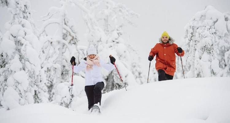 3 jours à Rovaniemi : Village du Père Noël, activités hivernales dans l'Arctique et 2 nuits de chasse aux aurores boréales - Helsinki Tour 8