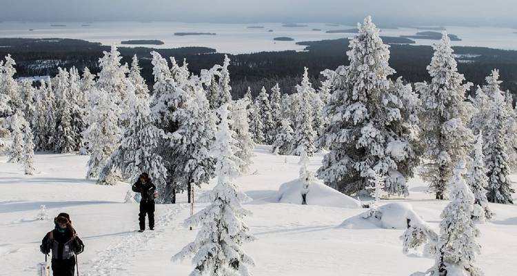 3 jours à Rovaniemi : Village du Père Noël, activités hivernales dans l'Arctique et 2 nuits de chasse aux aurores boréales - Helsinki Tour 9