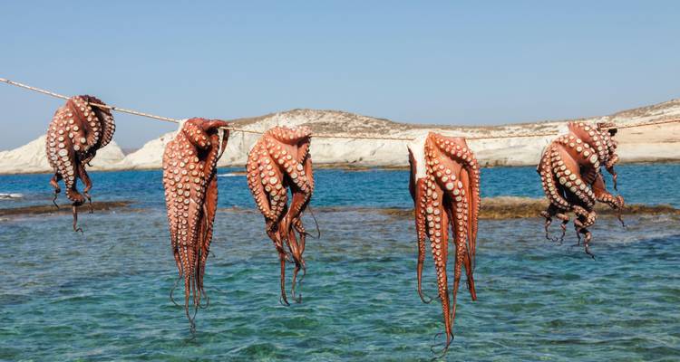 Odyssée des îles grecques - Culture Trip 8