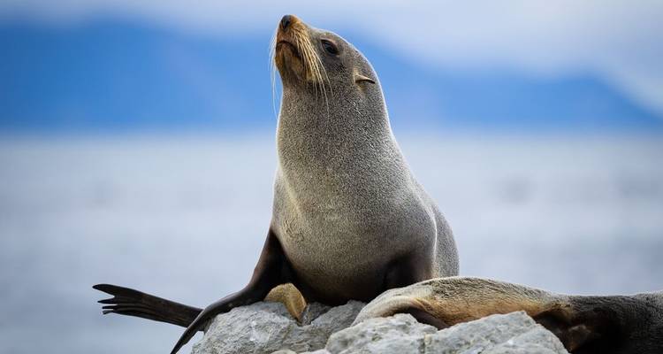 New Zealand's North to South Island Adventure (8 destinations) - Intrepid Travel 9
