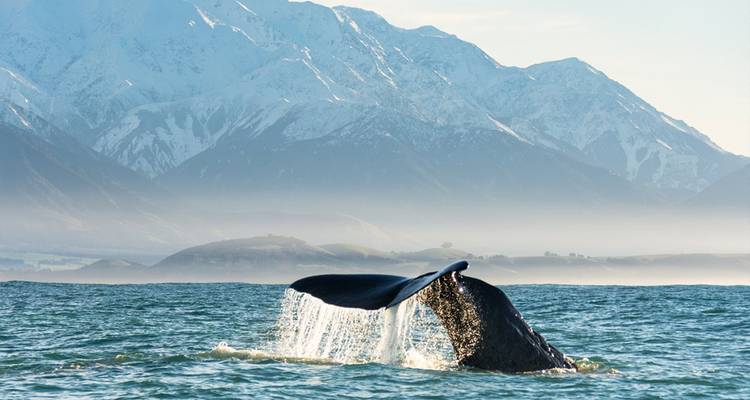 Nueva Zelanda al descubierto - en dirección sur (36 destinations) - Intrepid Travel 5