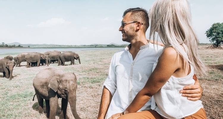 6-Days Standard Sri Lanka Tour - Lanka Safe Tours 4