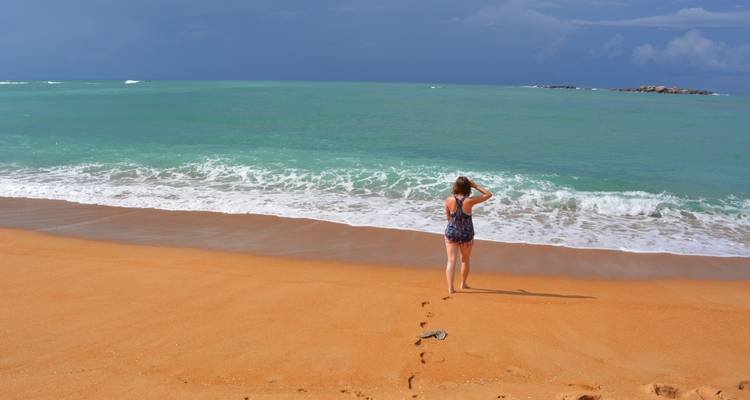 6-Days Standard Sri Lanka Tour - Lanka Safe Tours 6