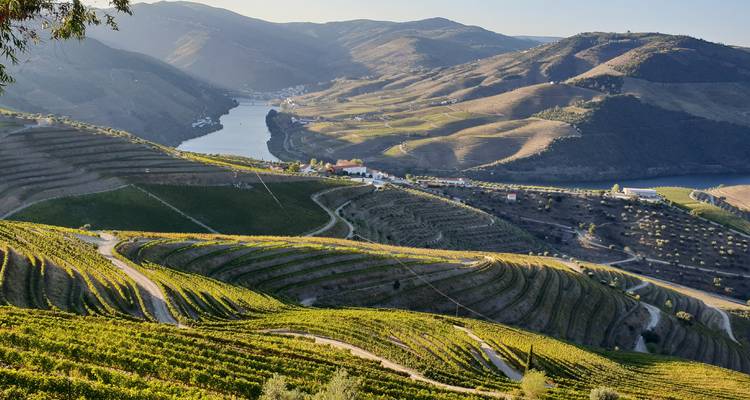 Pleasures of Portugal - Tours of Distinction 3