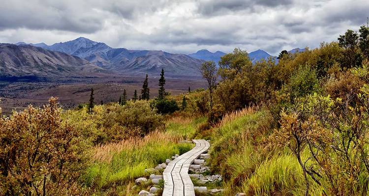 Trek, vélo et kayak en Alaska - Intrepid Travel 6