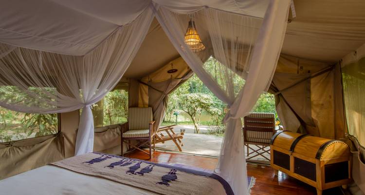 Safari au Kenya - African Travel 6