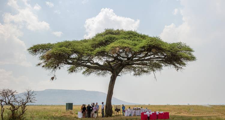 Explorador de Tanzania - African Travel 1