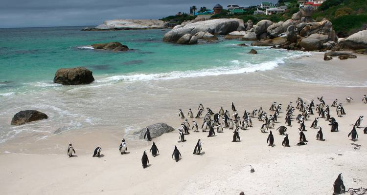 Les points forts de l'Afrique australe - African Travel 3