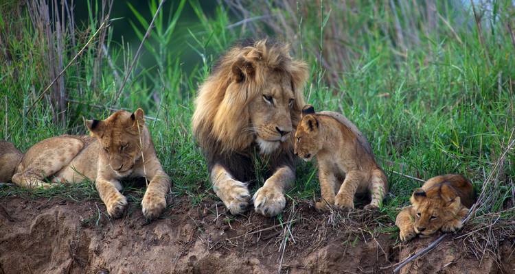 Les points forts de l'Afrique australe - African Travel 1