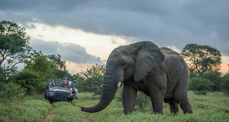 Les points forts de l'Afrique australe - African Travel 9