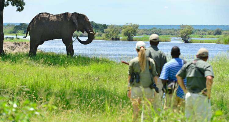 Une ville du Cap et un safari incomparables - African Travel 7