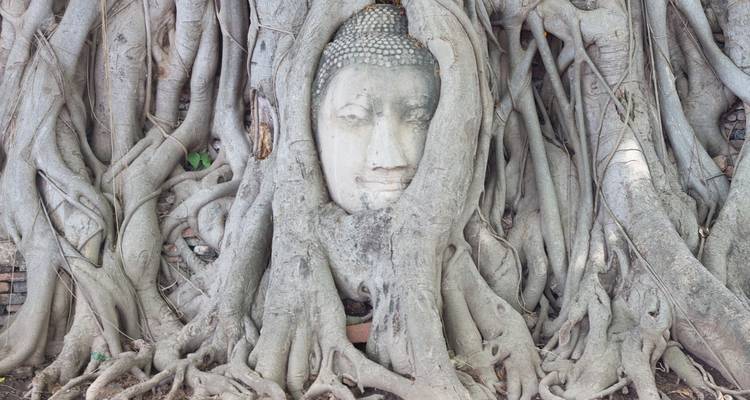Thailand Adventure: Bangkok, Chiang Mai & Street Food Crawls - G Adventures 8