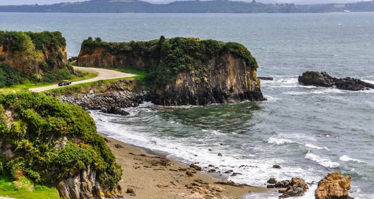 Cliffside view overlooking the ocean with lush greenery.